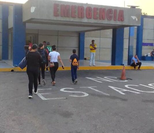 Se subió al techo para podar un árbol y se fue al piso
