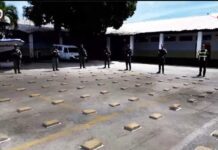 Incautan 260 panelas de marihuana