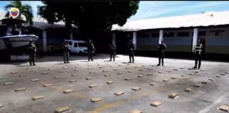 Incautan 260 panelas de marihuana