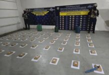 Incautan 60 panelas de marihuana en Tiguadare