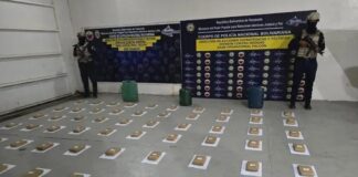 Incautan 60 panelas de marihuana en Tiguadare