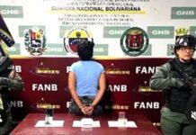 Llevaba casi medio kilo de cocaína introducido en sus partes íntimas
