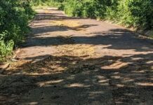 Productores reclaman mejoramiento de la vialidad rural del municipio Zamora