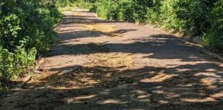 Productores reclaman mejoramiento de la vialidad rural del municipio Zamora