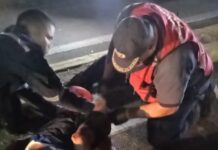 Arrollado hombre en la avenida Coro de Punto Fijo