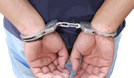 Detalles| Polifalcón aprehendió a hombre en Punta Cardón