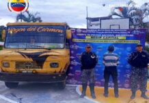 Detenido chofer de buseta que arrolló a un perro