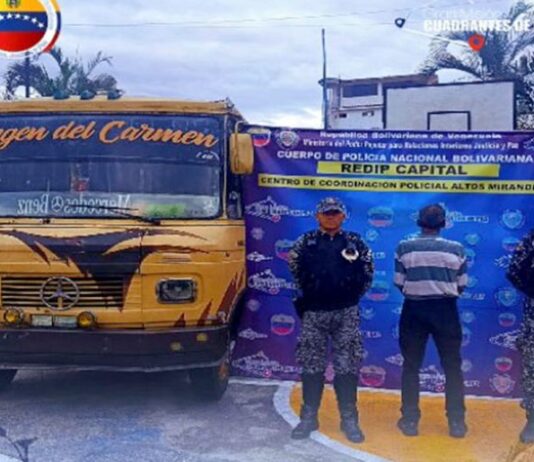 Detenido chofer de buseta que arrolló a un perro