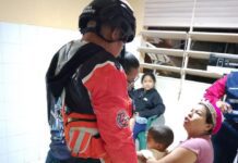 Once personas intoxicadas por picaduras de abejas