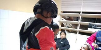 Once personas intoxicadas por picaduras de abejas