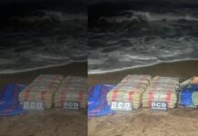 Localizan 100 panelas de marihuana en Píritu