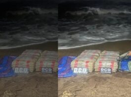 Localizan 100 panelas de marihuana en Píritu