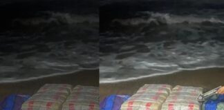 Localizan 100 panelas de marihuana en Píritu