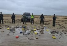 Localizan 21 panelas de marihuana en Playa Sur de Adícora