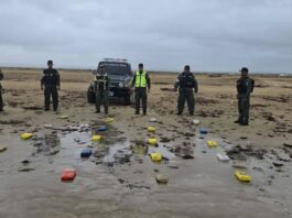 Localizan 21 panelas de marihuana en Playa Sur de Adícora