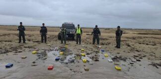 Localizan 21 panelas de marihuana en Playa Sur de Adícora