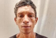 Mató un perro a patadas