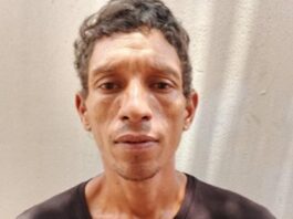 Mató un perro a patadas