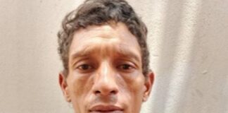 Mató un perro a patadas