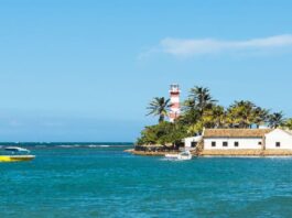 Reactivan Zona Libre de Paraguaná