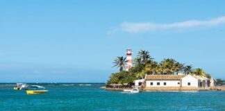 Reactivan Zona Libre de Paraguaná