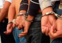 Cicpc reporta siete detenidos por abuso sexual