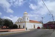 Arrollado sexagenario en la avenida Bolívar de Pueblo Nuevo