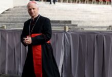 El nuevo papa es el cardenal Robert Prevost Papa León denunció en la FAO el uso del hambre como "arma de guerra"