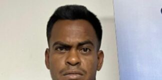 Estafaba comercios con dólares falsos