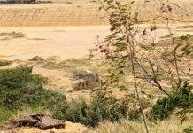 Localizan sin vida a sexagenario desaparecido