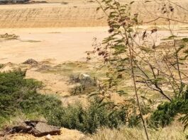 Localizan sin vida a sexagenario desaparecido