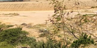 Localizan sin vida a sexagenario desaparecido