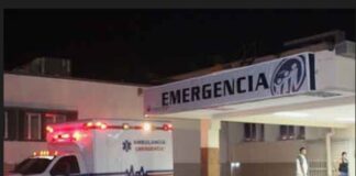 Los sorprendió un vehículo y se fueron al pavimento en El Hato