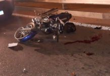 Motorizado chocó con una vaca que lo sacó de circulación en El Vínculo