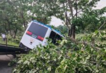 Vuelco de autobús deja tres muertos y 15 heridos