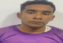 Golpeó a su pareja sentimental y asesinó a su mascota