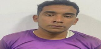 Golpeó a su pareja sentimental y asesinó a su mascota