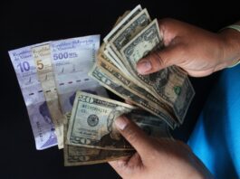 Así amaneció el precio del dólar y euro BCV hoy 31 de octubre Así se cotizan el dólar y euro BCV hoy / Así amaneció el precio del dólar y euro BCV