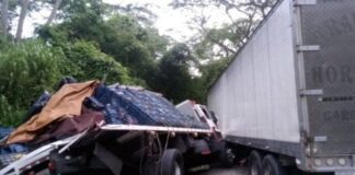 Hombre muere arrollado por una gandola