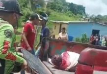 Identifican a serrano muerto en colisión de motos en el municipio Federación ¡Churuguara llora la partida física de Lucindo!