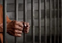 Incautan 50 municiones en aeropuerto