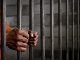 Incautan 50 municiones en aeropuerto