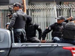 Mueren cuatro delincuentes durante intervención de la PNB