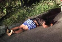 Motorizado falleció al chocar con un poste