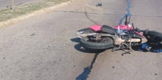 Motorizado fue sorprendido por un ovejo en Mauroa