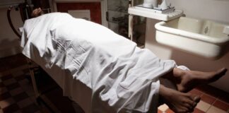 Fallece comerciante arrollado por maquinaria pesada en Zamora