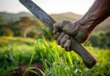 Se cortó la pierna con un machete en Dabajuro