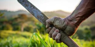 Se cortó la pierna con un machete en Dabajuro