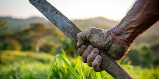 Se cortó la pierna con un machete en Dabajuro