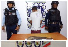 Ingresó a una casa y se robó una oveja